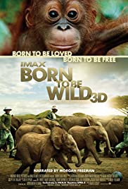 ดูหนังออนไลน์ฟรี Born to Be Wild (2011) มหัศจรรย์ชีวิตป่า