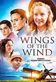 ดูหนังออนไลน์ฟรี Wings of the Wind (2013) วิง ออฟ เดอะ เวน